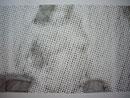Puntos | Drawing on paper | 60 x 50 Cm. 