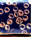 Musée de la Transfusion Sanguine et du Don de Sang.