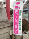 稲敷チューリップまつり　ステカン　デザイン、製作、施工