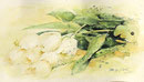 Mappenkurs Düsseldorf, Aquarellmalerei, Aquarellkurs für Anfänger, Malen mit Aquarell,  Pflanzenmalen mit Aquarell, Mappenkurs Düsseldorf
