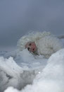 Fantasie & Wirklichkeit Fotografien und Gedichte Kathrin Steiger Winter Schnee Schneefee Schneeelfe Schnee-Elfe Winterfee Winterelfe Fairy Snow Fairy Fairies
