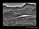Paragleiter