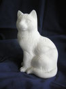 Steinkatze