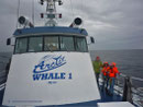 Unterwegs auf der Arctic Whale 1 - und das Wetter wird schlechter...