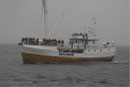 Ein weiteres Schiff ist auf der Suche nach den Walen