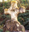 frettemeule