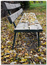 Banc d'Automne