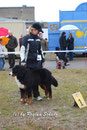 SG1 und Anwartschaft Dt. Jugendchampion VDH