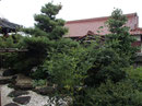 ｂｅｆｏｒｅ
