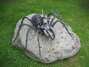 Spinne