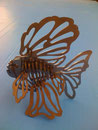Fisch ( Koi )