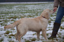 Lucy mit 8 Monaten