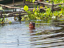Kinder Welt - Naturschwimmbad Tonle Sap