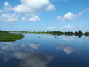 Natur pur - Der Tonle Sap zeigt sich von seiner schönen Seite