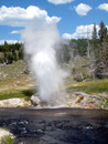 Regelmäßig - Der Riverside Geysir eruptiert