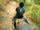 Ein Mahout auf seinem Elefanten