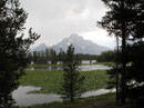 Lieblich - Landschaft im Grand Teton Nationalpark