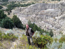 Lohnend - Rundfahrt im Theodore Roosevelt Nationalpark