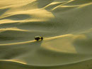 Einsame Kreise - Buggy in der Wüstenoase bei Huacachina