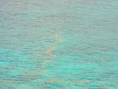 ...Bei näherem Hinsehen gibt es im Meer vielerorts Müll, Müll, Müll