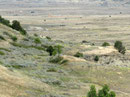 Kein Widerspruch - Bisons, Wildpferde und Ölpumpen im Theodore Roosevelt Nationalpark