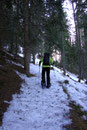 Ein paar Minuten später wandten wir uns in einer weiten Rechtsbiegung erneut einem kleinen Waldstück zu. Nur ein schmales Schneeband geleitete uns durch dieses hindurch, bevor …