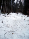 ... folgten diesem mäßig steil, teilweise mit Schnee und Eis bedeckt, immer weiter nach oben.