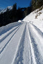 So marschierte ich geradeaus der Forststraße Richtung Talschluss entlang. Leider musste ich das Gewicht der Schneeschuhe noch immer meinem Rücken und den Schultern anlasten.