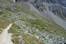 Auf dem schön angelegten alpinen Steig mit der Bezifferung Nr. 5 stieg ich …