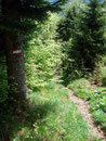 Je näher wir dem geparkten Auto kamen, desto zügiger schritten wir voran.  Jeder von uns sehnte sich scheinbar nach dem  Ende der langen, aber tollen Wanderung.