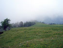 ... wieder den riesigen Wiesenhang der uns schon beim Aufstieg zum Schwitzen brachte.