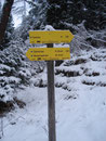 Wietere 1 Std. zum Gipfel wurde angezeigt und ....
