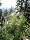 Die letzten Meter zum Gipfel sind sehr ausgesetzt und nur für trittsichere und schwindelfreie Bergwanderer zu empfehlen.