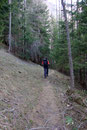 Noch einmal führte uns der Dolomitensteig (ab hier Weg Nr. 19a) in den Wald hinein …