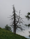 Nach dem eher "schiachen" Abschnitt unserer Bergtour und der Tatsache das wir uns ein wenig vergangen hatten aufgrund der Zerstörung und der nur mehr spärlich vorhandenen Markierungen ...