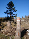 … vorbei an dieser Markierung …