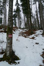 Irgendwie fühlte es sich komisch, aber gut ohne unsere Schneeschuhe an. Einfach so leicht! Waren wir Vormittag noch mit ihnen bewaffnet, so konnte man hier den doch schon ziemlich aperen Waldweg ohne sie problemlos bewältigen.