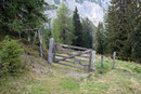 Das „Weidegatterl“ durchschritten …