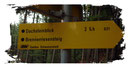Jetzt aber verließ ich den Valerieweg und wandte mich nach rechts dem „schwarzen“ Brennerriesensteig zu.