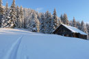 Gleich hinterhalb der Hütte zogen sich bereits die ersten angelegte Spuren zum etwas höher gelegenen Waldrand empor. Trotz der -13 Grad ließ auch ich nichts anbrennen, legte heuer zum ersten Male meine TUBBS-Teller an und …