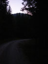 In der Morgendämmerung starteten wir unsere letzte kalendarische Sommerwanderung in diesem Jahr. Vom Parkplatz "Panorama Nova" (ca. 900m) führte uns der Weg Nr. 248 die Forststraße Richtung Raschberghütte entlang.