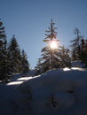 Je höher wir kamen, desto wärmer und schöner wurde die Landschaft. Schneebedeckte Bäume und unberühte Natur wohin man auch schaute.