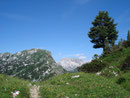 Rasch war dieser auch erreicht, wir wandten uns nach rechts dem Weg 213 weiter folgend und …