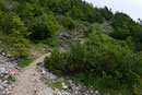 Nun drehte der Steig in einer weiten 90° Biegung nach NO ab und leitete mich …