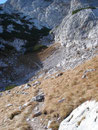 wanderten wir jetzt bereits auf dem Weg Nr. 615, den wir nach der Talstation Krippenegg genommen hatten, in Richtung Taubenkogel/Hoher Gjaidstein. Die Pfade wurden felsiger und ausgesetzter.