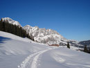 Schnurstracks unterhalb der Skipiste entlang bis zur Tiergartenalm ( oder wie Rudolf sie nannte: Tigerentenalm). An dieser ohne Stopp vorbei ...