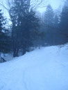 Nach etwa 20 min. verließen wir die offene Fläche und es ging steil, in Serpentinen, zum Sulzboden hinauf. Hier in diesem Waldstück war auch der Schnee tiefer und anstrengender zu begehen.