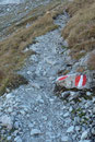 Oberhalb des felsdurchsetzten Felsgeländes trafen wir auf den steinigen Wanderweg, ...