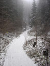 Nach ca. 10 Minuten Gehzeit, bei dieser Weggabelung angekommen, konnte ich mich entscheiden. Entweder auf dem Ritterweg, oder dem Rittersteig zur Ruine Seisenburg zu wandern.