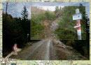 Ich driftete um die Kurve und wanderte zügig die Schotterstraße bis kurz nach der dritten Kehre weiter bergauf. Nun leitete eine erneute Beschilderung „Zeiritzkampel“ nach links in einen Wandersteig, …